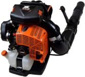 Top 10 Best Leaf Blowers 2025