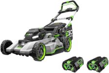 Top 10 Best Lawn Mowers 2025