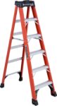 Top 10 Best Ladders 2025