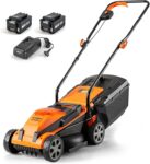 Top 10 Best Lawn Mowers 2025