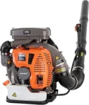 Top 10 Best Leaf Blowers 2025