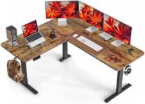 Top 10 Best Office Desks 2025