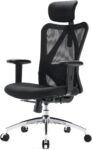 Top 10 Best Office Chairs 2025