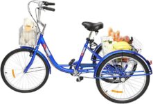 Top 10 Best Tricycles 2025