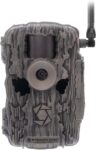 Top 10 Best Trail Cameras 2026