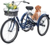 Top 10 Best Tricycles 2025