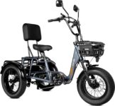 Top 10 Best Tricycles 2025