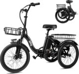 Top 10 Best Tricycles 2025