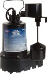 Top 10 Best Sump Pumps 2025