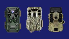 Top 10 Best Bathroom Scales 2026