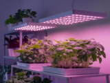 Top 10 Best Grow Lights 2026