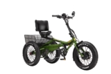 Top 10 Best Tricycles 2025